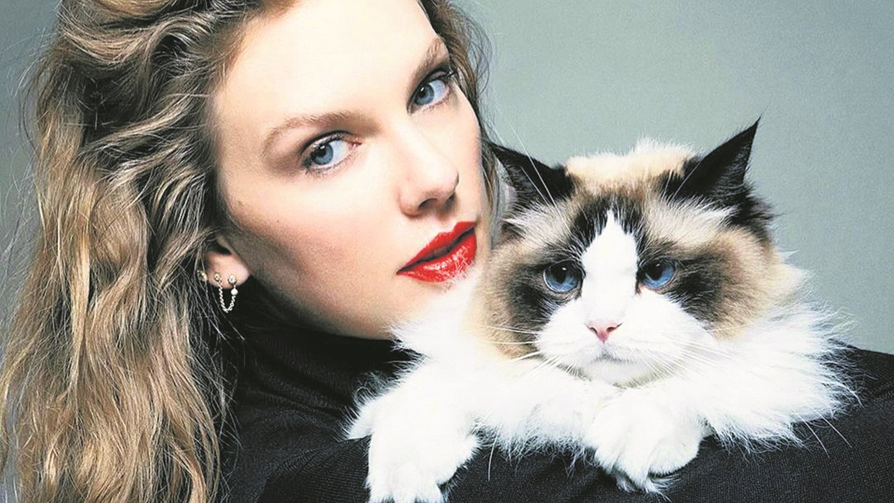 Taylor Swift’ten kedili destek