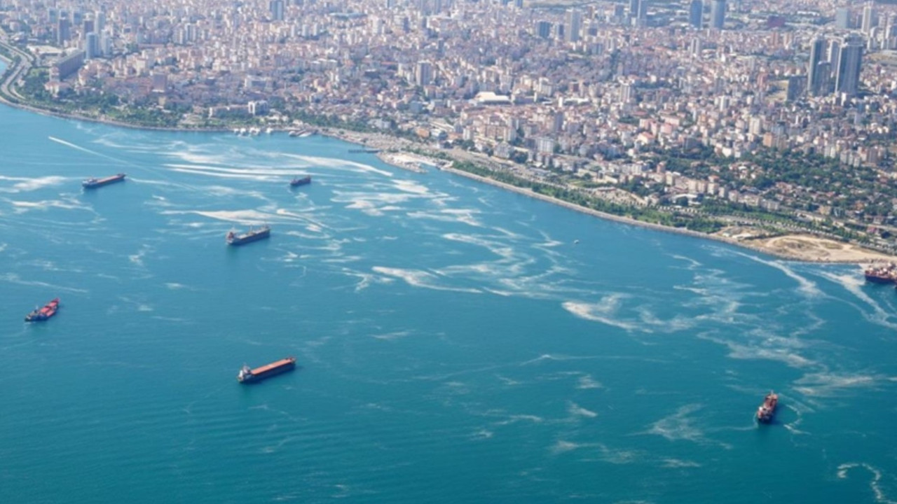 Prof. Dr. Tecer'den müsilaj uyarısı: Marmara Denizi'ni istila etmiş durumda