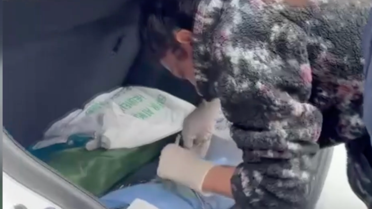 Sarıyer'de veteriner depreme ameliyatta yakalandı