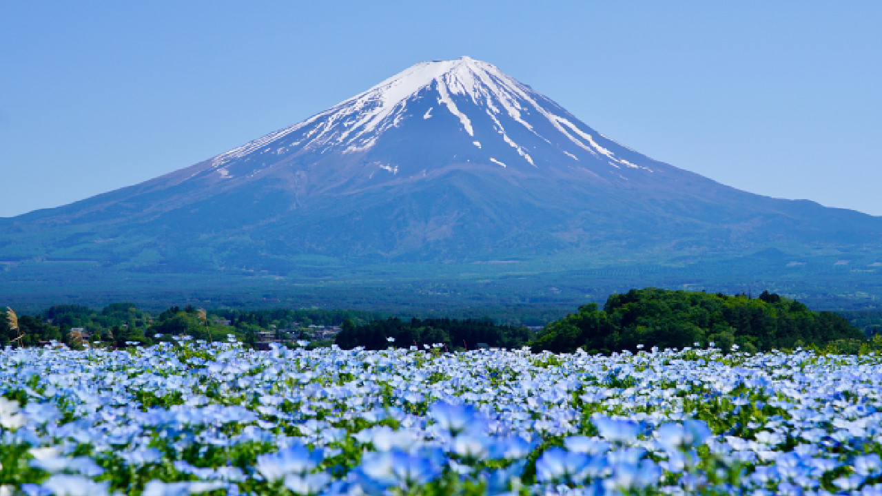 Japonya'da üniversite öğrencisi, bir haftada iki kez Fuji Dağı'ndan kurtarıldı