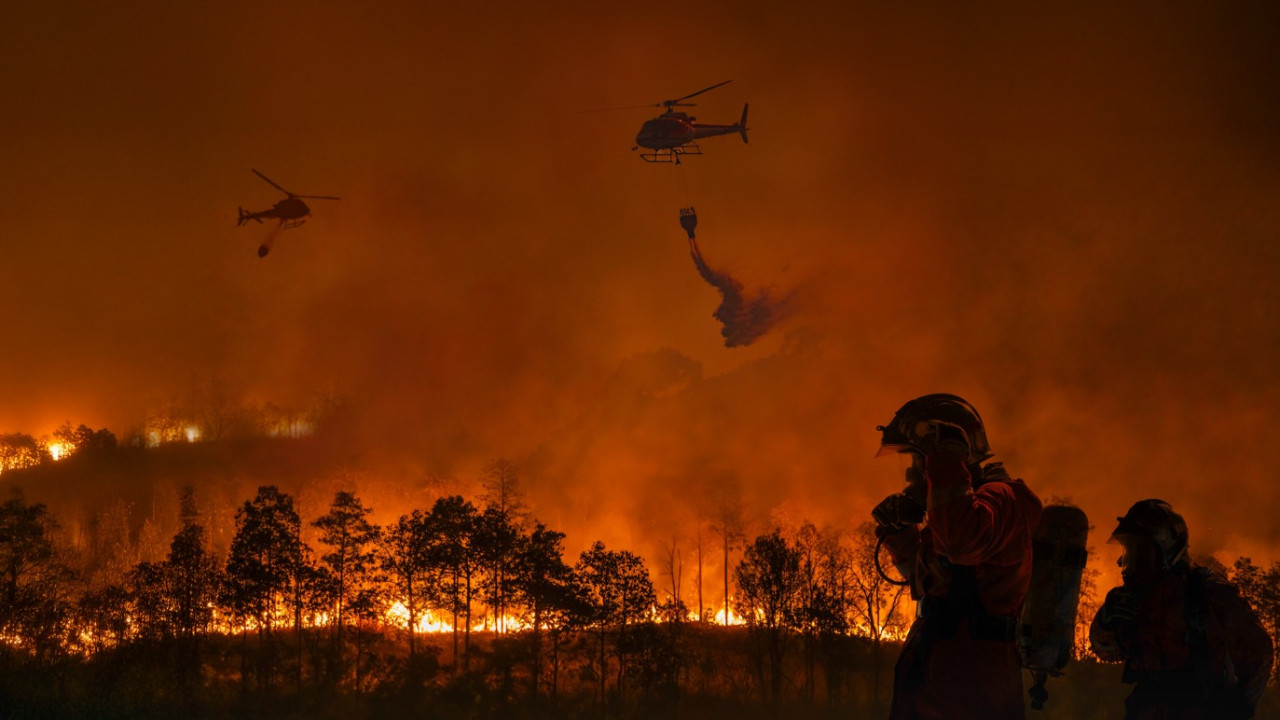 New York Times yazdı: Dünya her dakika 18 futbol sahası büyüklüğünde ormanlık alanı kaybediyor