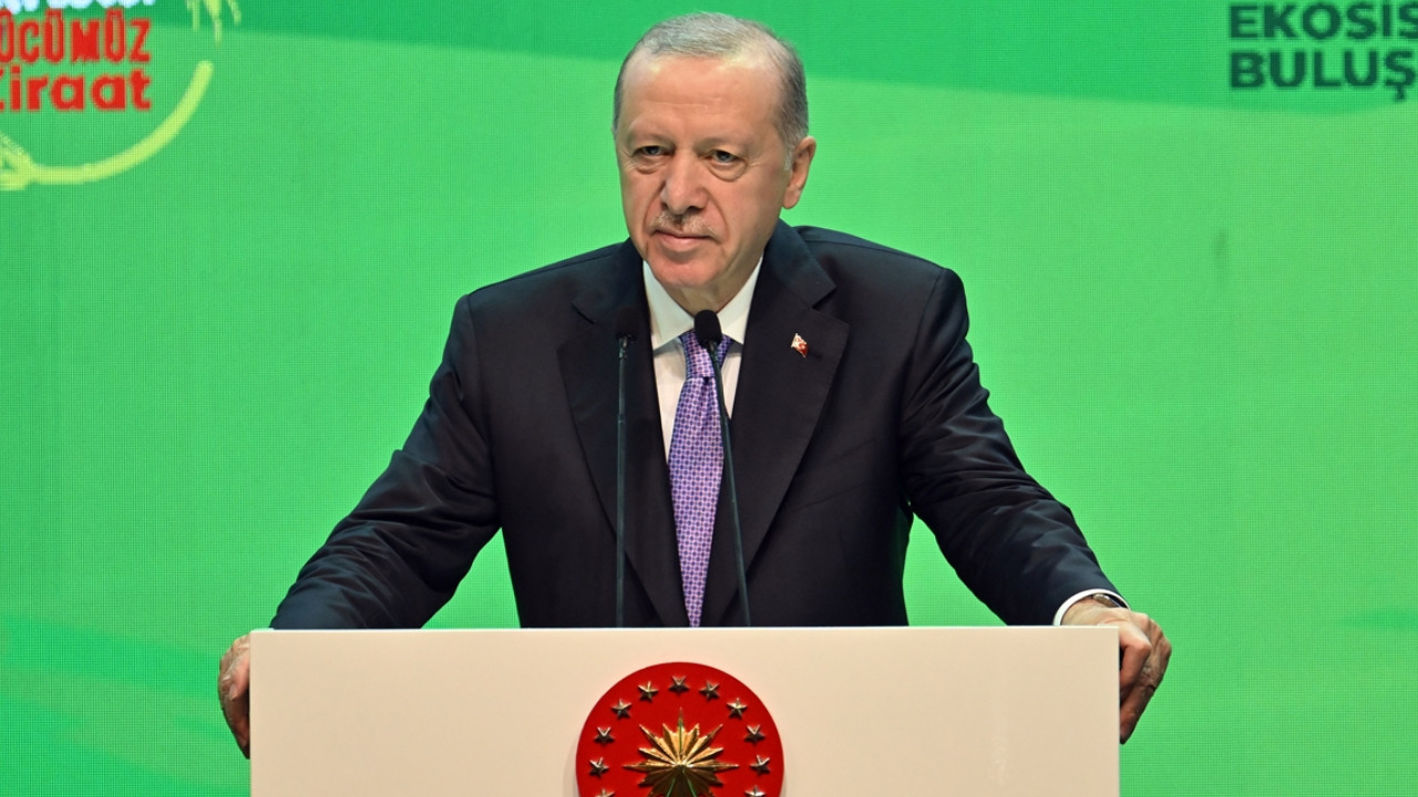 Cumhurbaşkanı Erdoğan: İrili ufaklı turplar, ahtapotun kolları birer birer ortaya çıkartılıyor