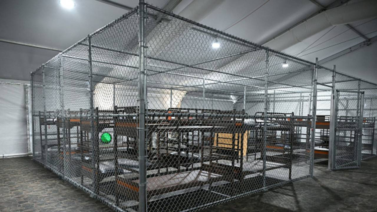 ABD'de 'Alligator Alcatraz' kriz çıkardı: Etrafı timsahlarla kaplı göçmen hapishanesi