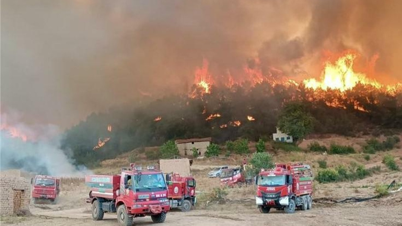 Eskişehir'deki orman yangınında alevlerin arasında kalan 10 kişi hayatını kaybetti