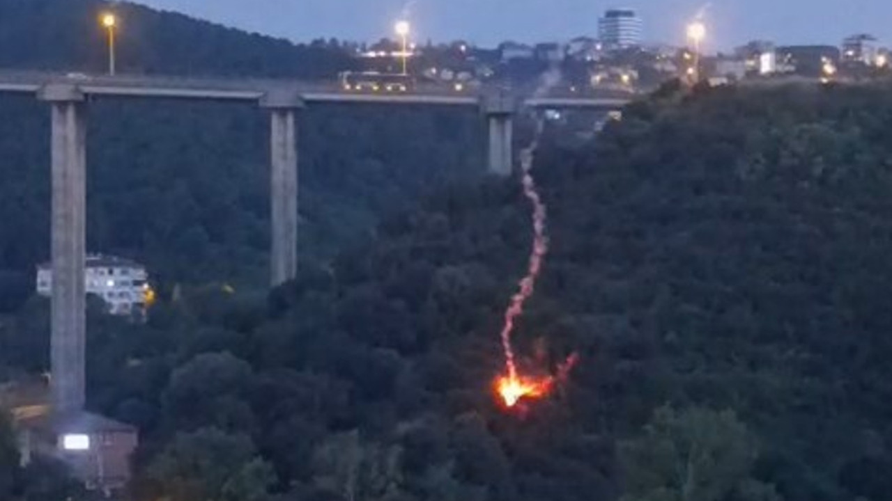 Beykoz'daki orman yangını söndürüldü: 'Eğlence' için atılan işaret fişeğinden çıkmış
