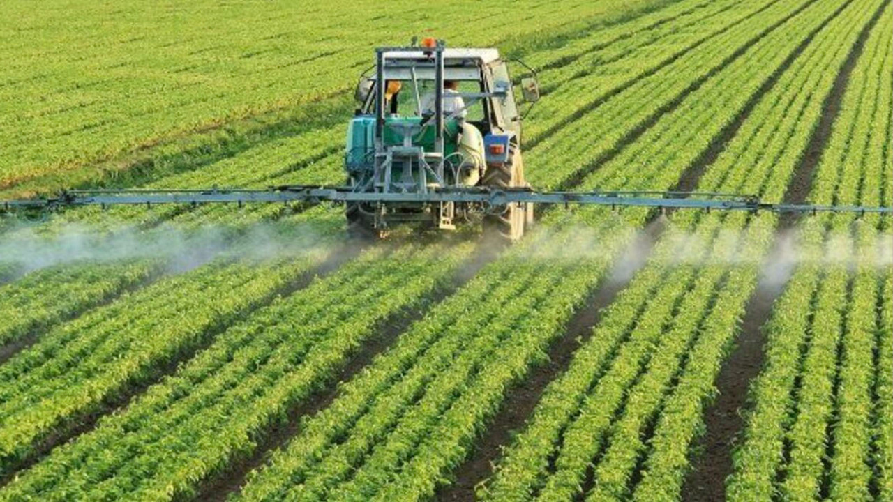 Greenpeace davayı kazandı: Tarım ve Orman Bakanlığı, 247 bin pestisit denetiminin sonuçlarını açıklamak zorunda