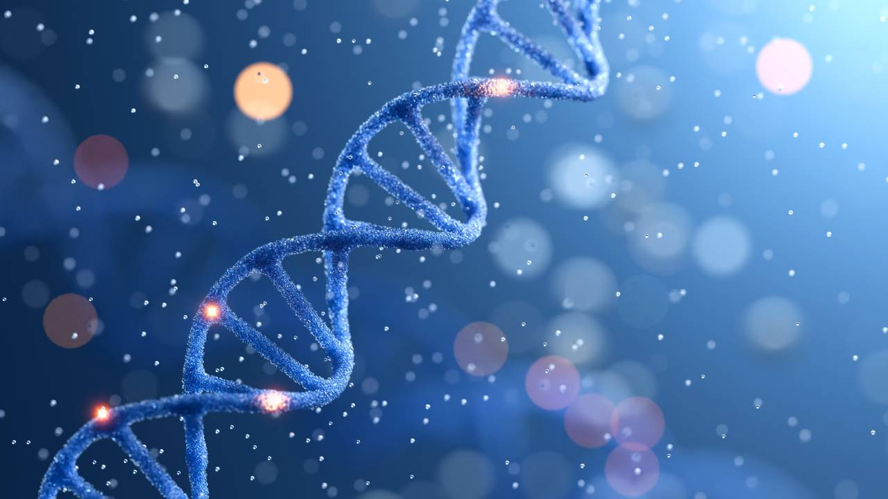 WSJ: Milyarderlerin uzun yaşam arayışı | Ekstra 20 yıl için ne kadar ödeme yapabilirsin?