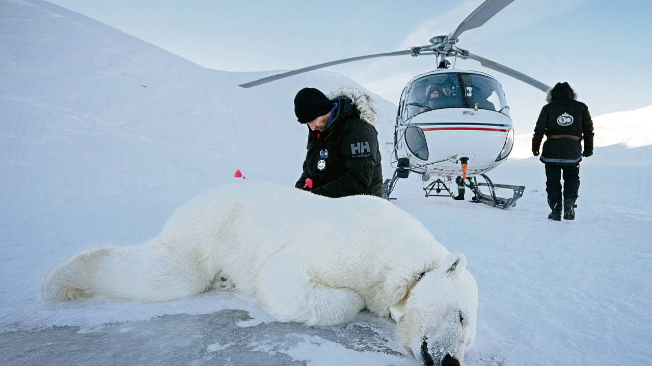 Yarım derece dünyayı değiştirir