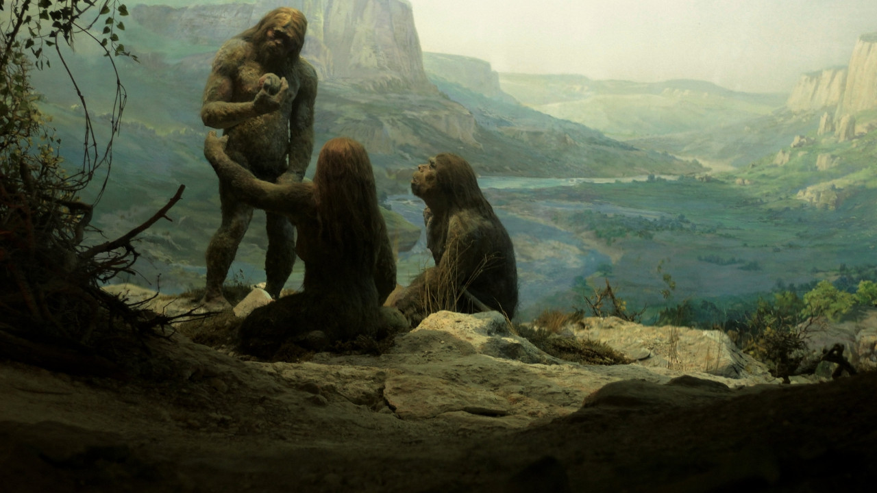 Neandertallerde yamyamlık: Komşularının kadın ve çocuklarını yemişler!