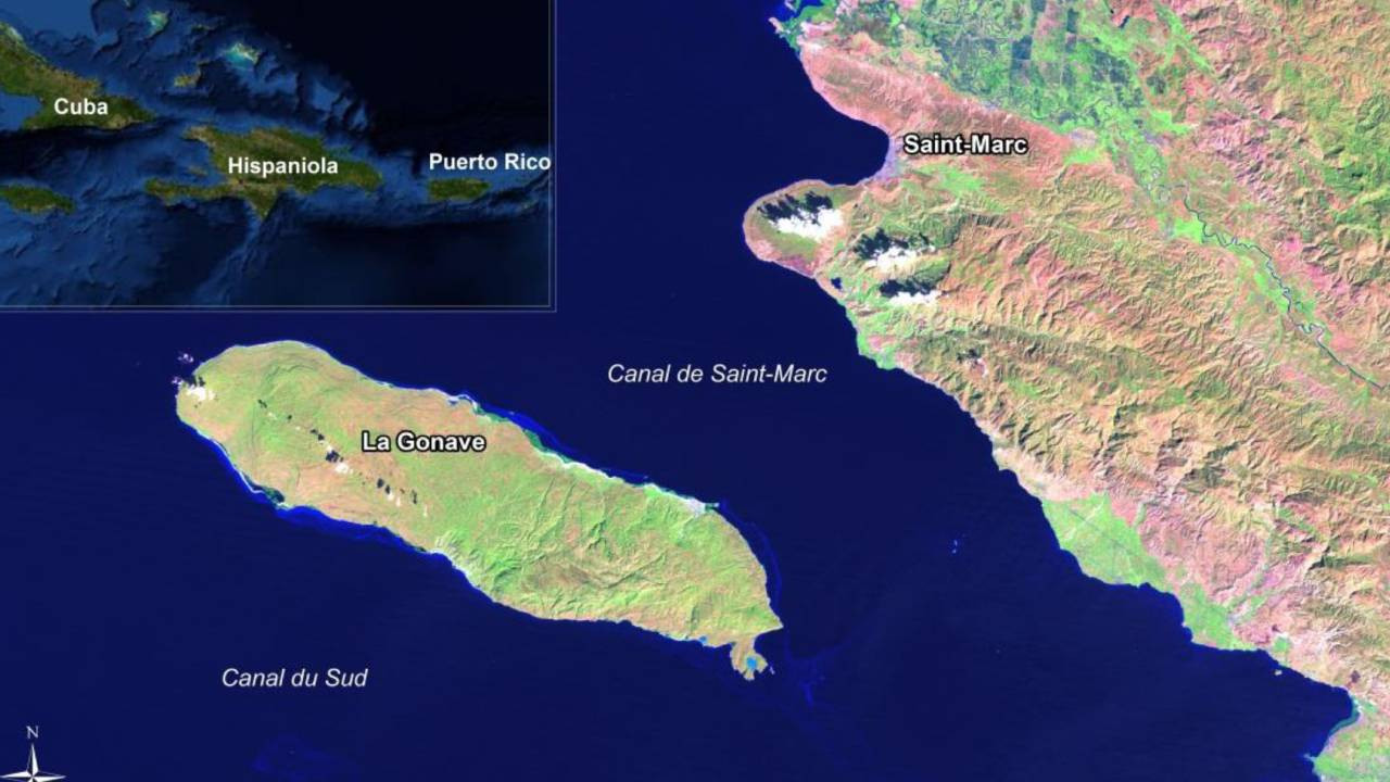 İki Amerikalı evsizlerden oluşan ordu kurup Haiti'yi işgal etme planı yapmakla suçlanıyor