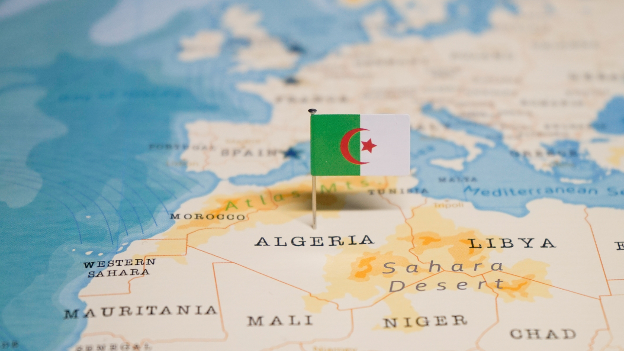 Cezayir'den Fransa'ya tarihsel hesaplaşma: Sömürge dönemi suç sayılabilir