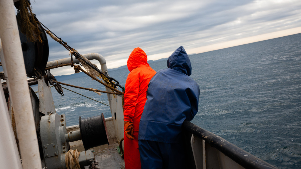 Japonya, Çin’in yasa dışı balıkçılığına karşı Güney Amerika'ya destek verecek