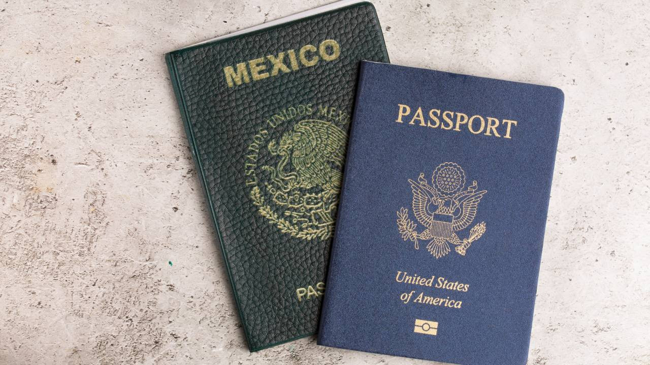 Çifte vatandaşlık furyası: Neden herkes yeni bir pasaport alma peşinde?