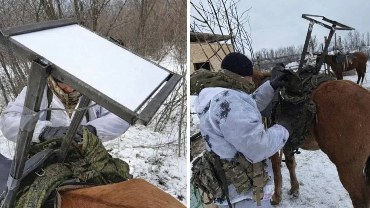 Telegraph inceledi: Rus ordusu internete erişmek için atları kullanmaya başladı