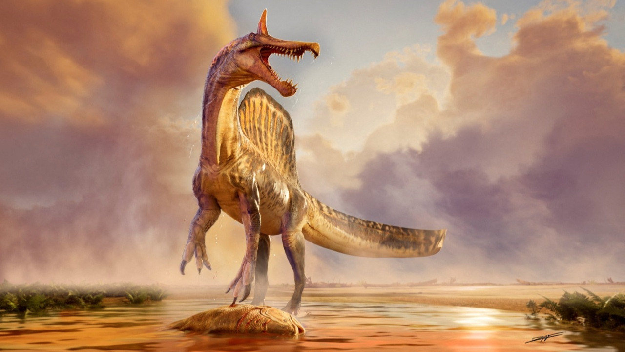 12 metre uzunluğunda, 7 ton ağırlığında: Bilim insanları Afrika’da yeni bir dinozor türü keşfetti