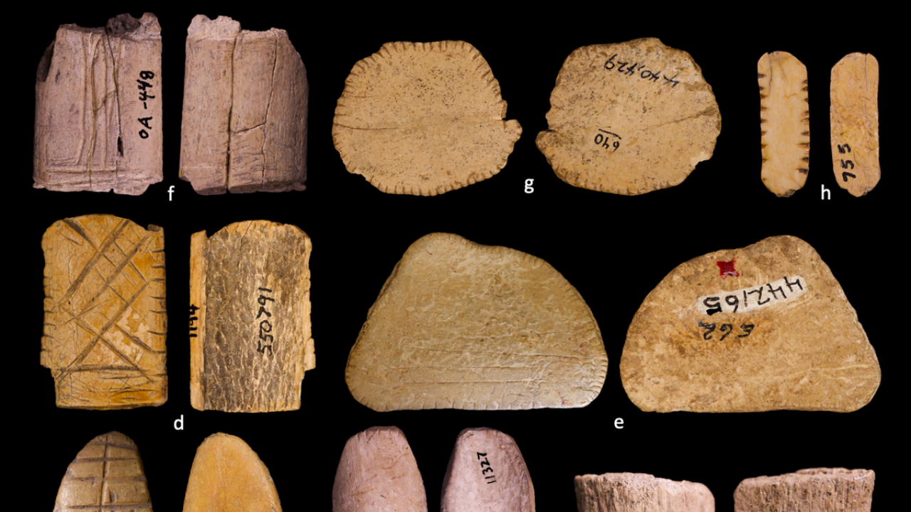 Yeni arkeolojik bulgu: İnsanlar Buz Devri’nden beri kumar oynuyor