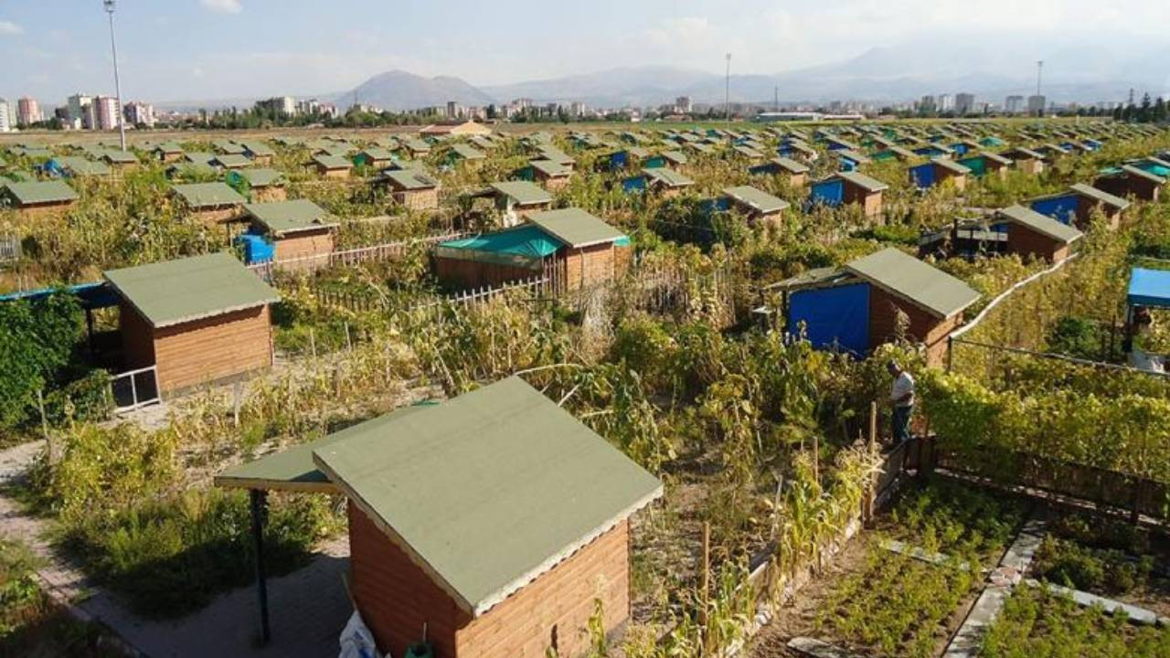 Hobi bahçeleri fobiye dönüştü