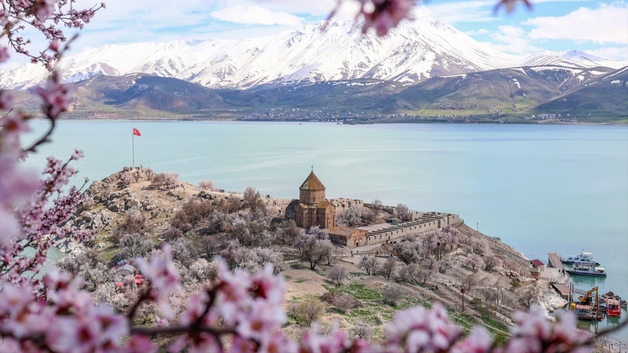 Baharın en güzel adresi: Van Gölü'ndeki Akdamar Adası çiçek açtı, ziyaretçiler akın etti