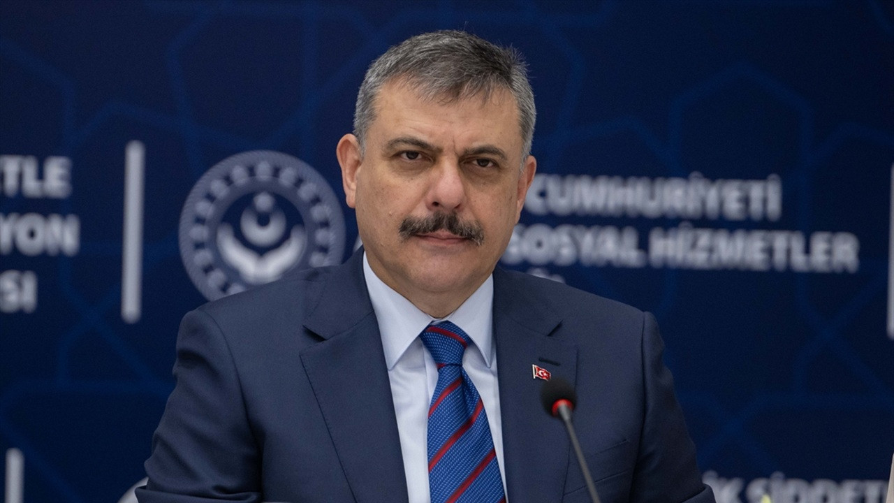 Bakan Çiftçi: 51 ilde sokak hayvanlarının tamamı toplandı