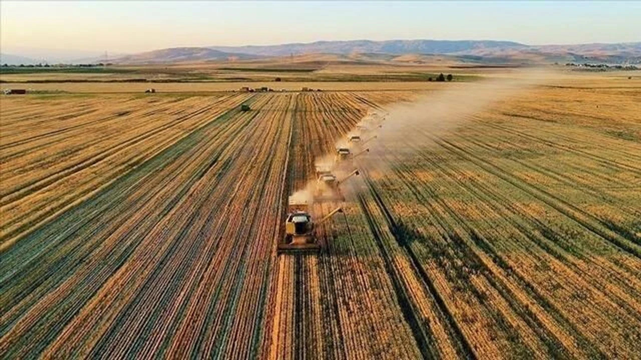 Türkiye'nin 29 yıllık tarım devi iflas etti