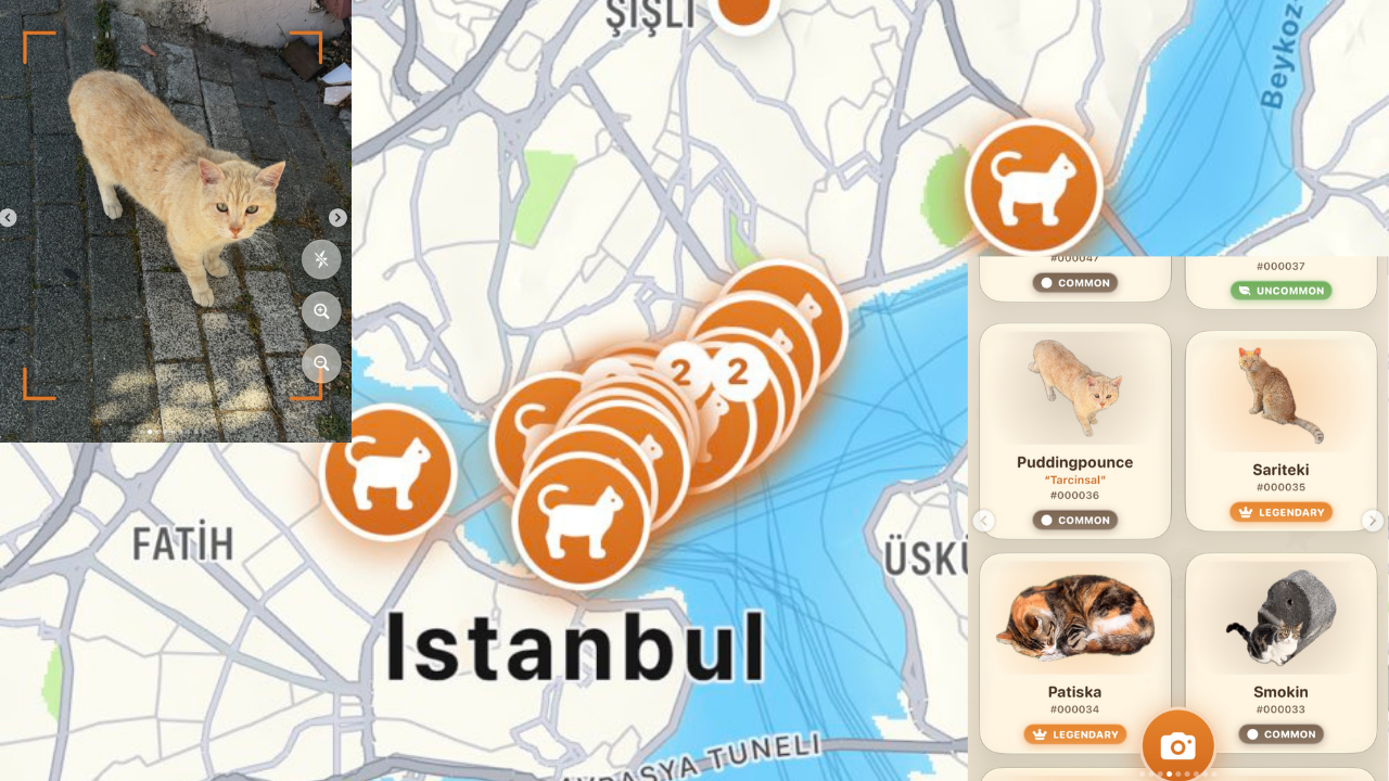 Kediyse yakala: Pokémon GO’nun ardından yeni trend kediler