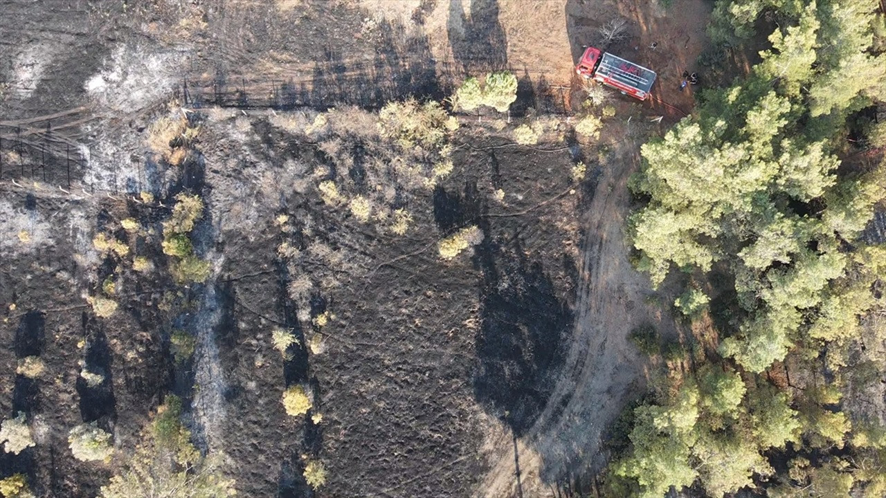 Muğla'da 5 hektarı kül eden yangın kaynak makinesinden çıkmış: Bir kişi gözaltında